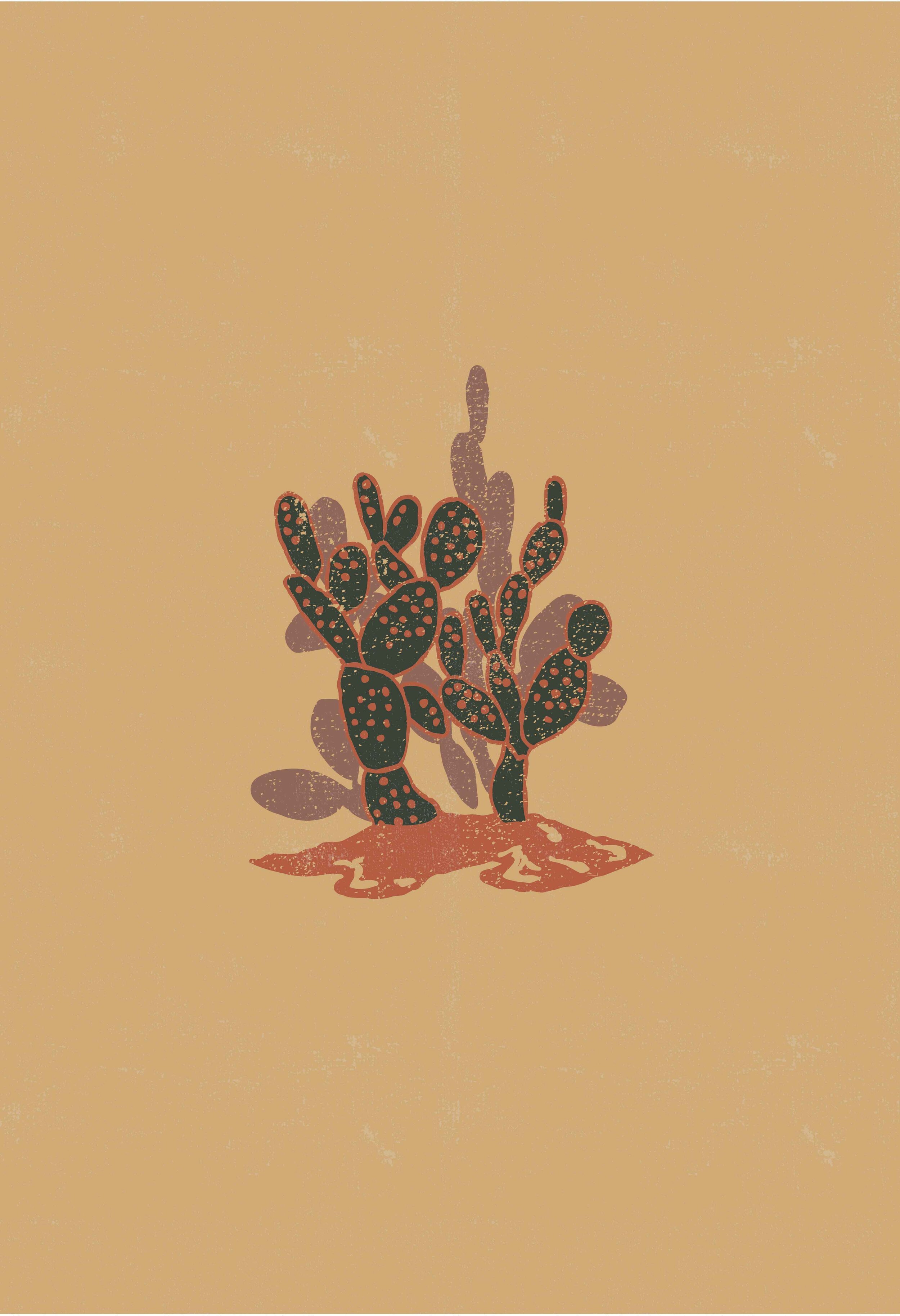 cactus.jpeg