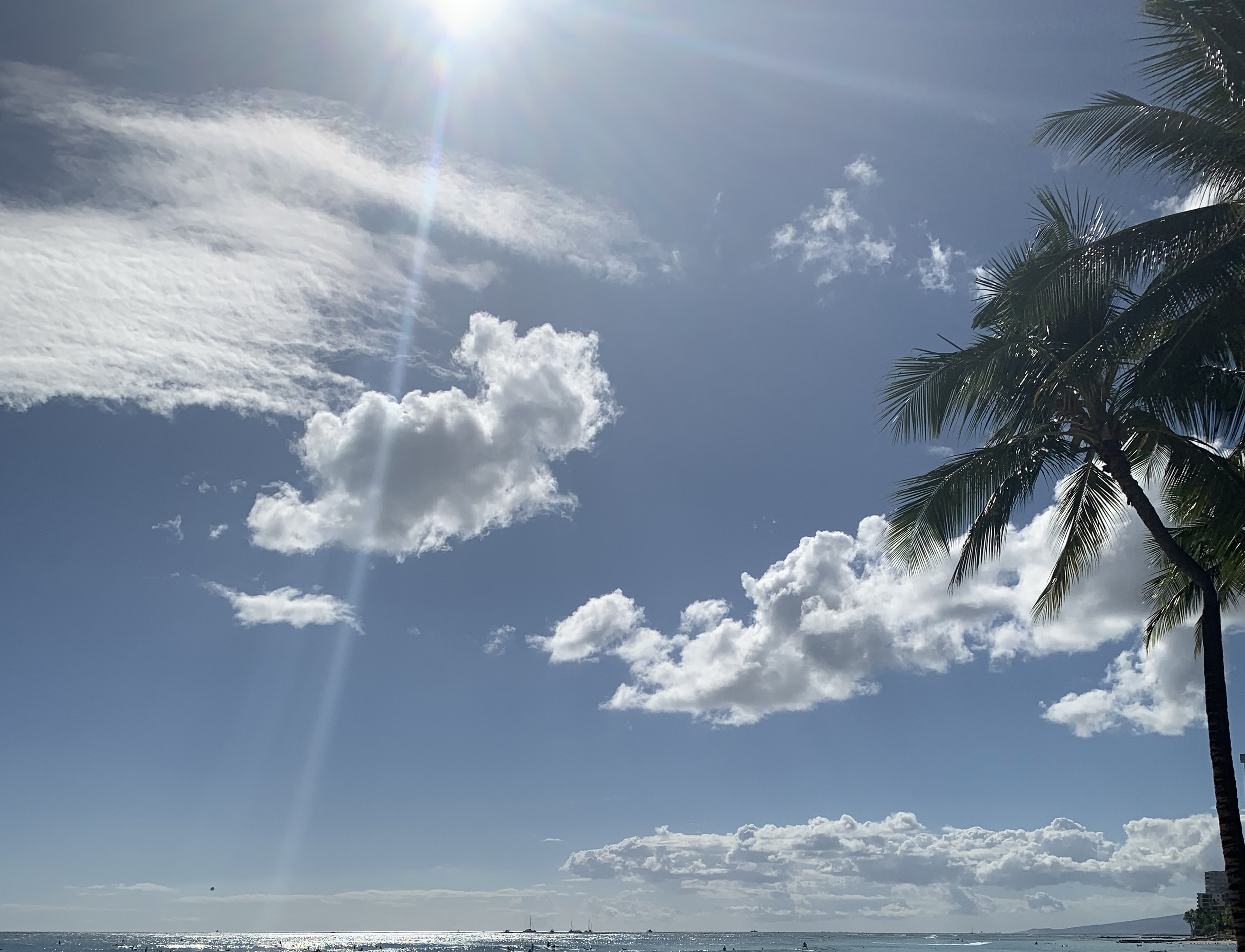 Clouds and Palm Trees