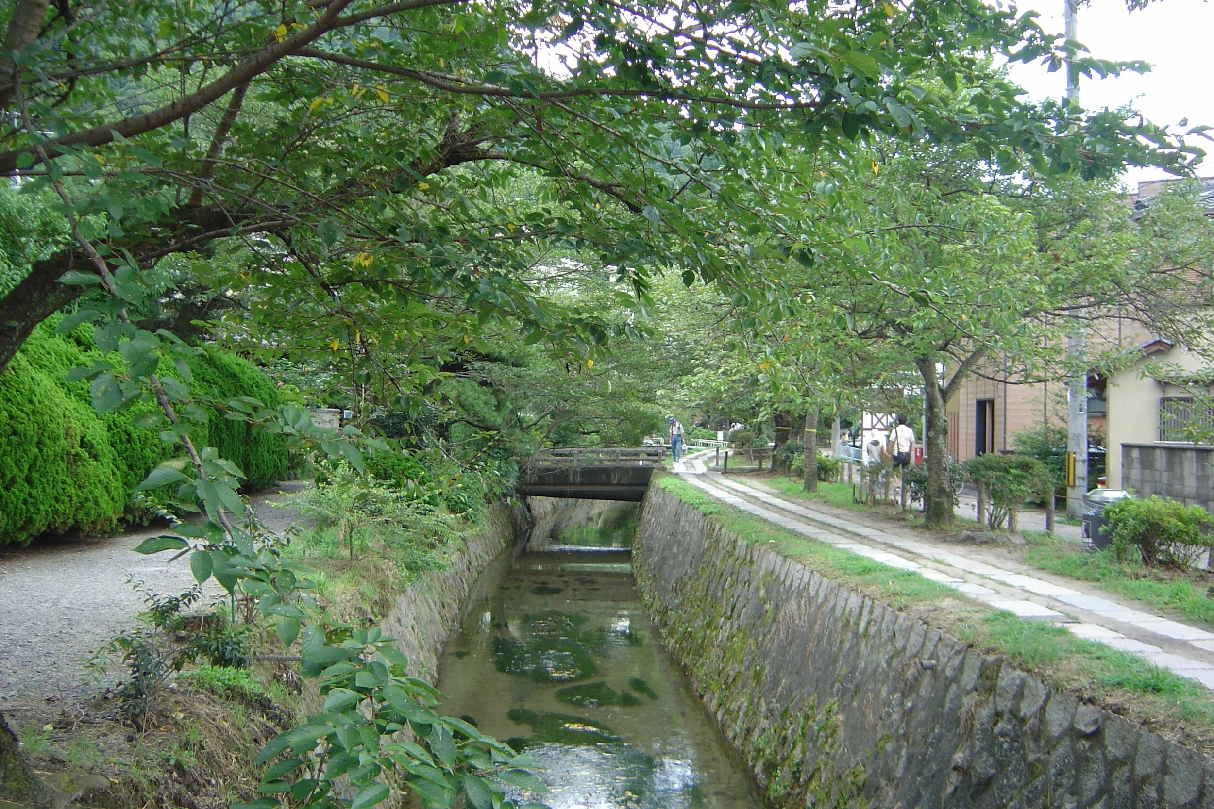 Travel Insurance for Japan: What Americans Need in 2026