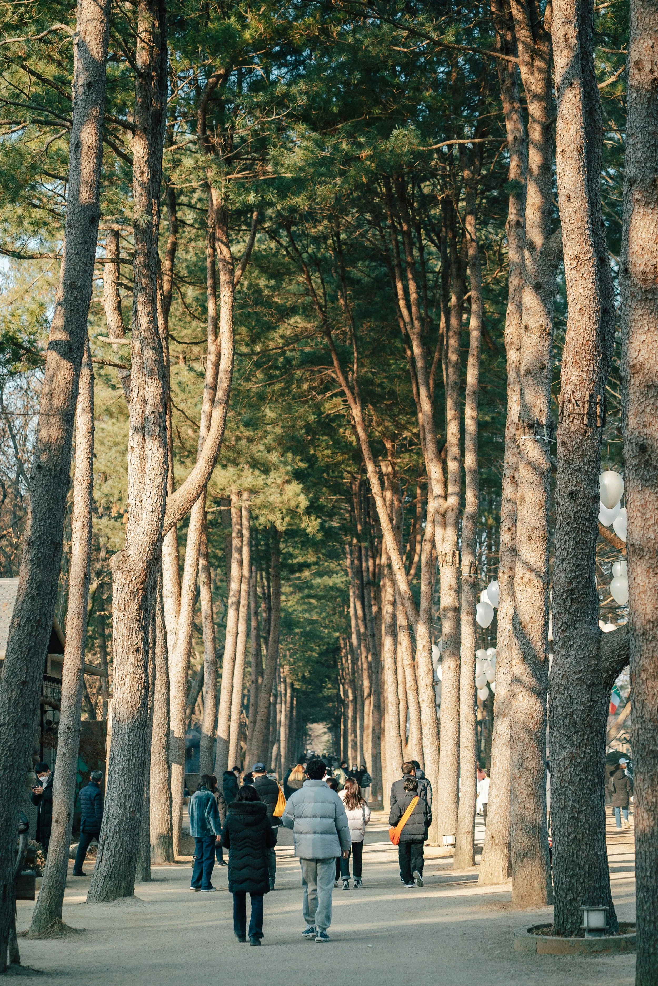 Klook Nami Island Promo Code: STEPHANDPETE (Up to 10% Off)