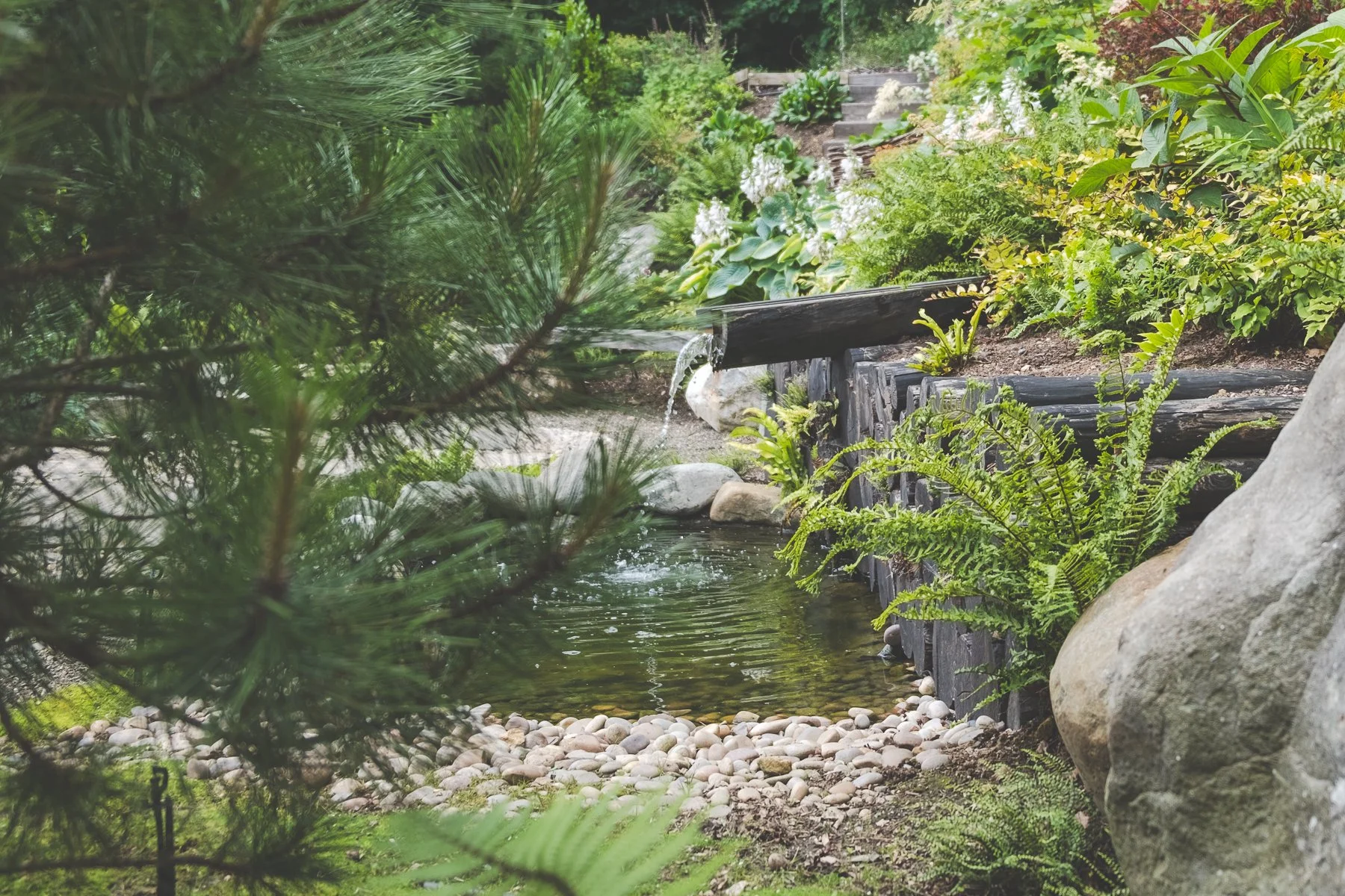 Beacon Wood 06 26--8.jpg