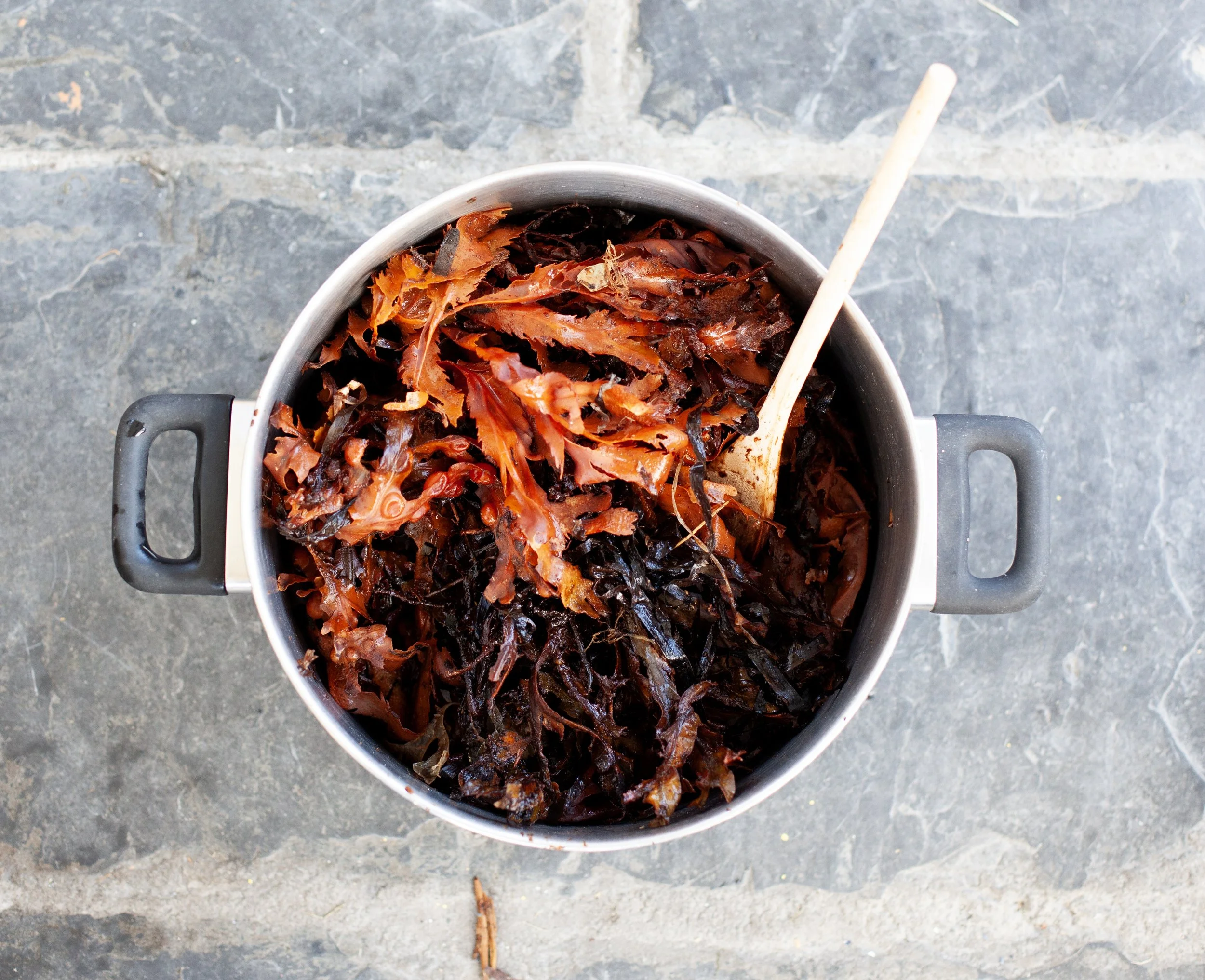 Seaweed ink