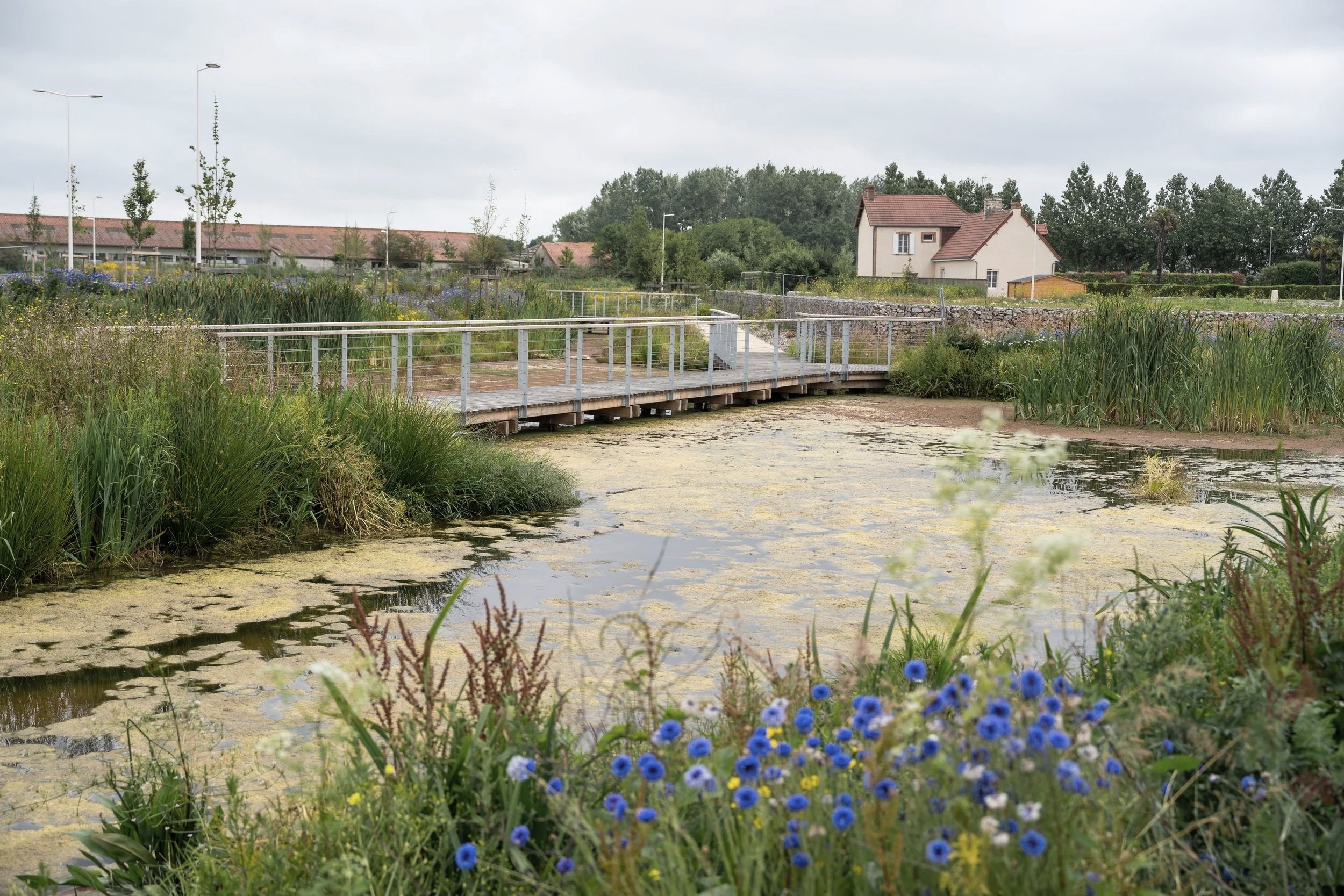 PARC GLORIA - CARENTAN-LES-MARAIS (50)