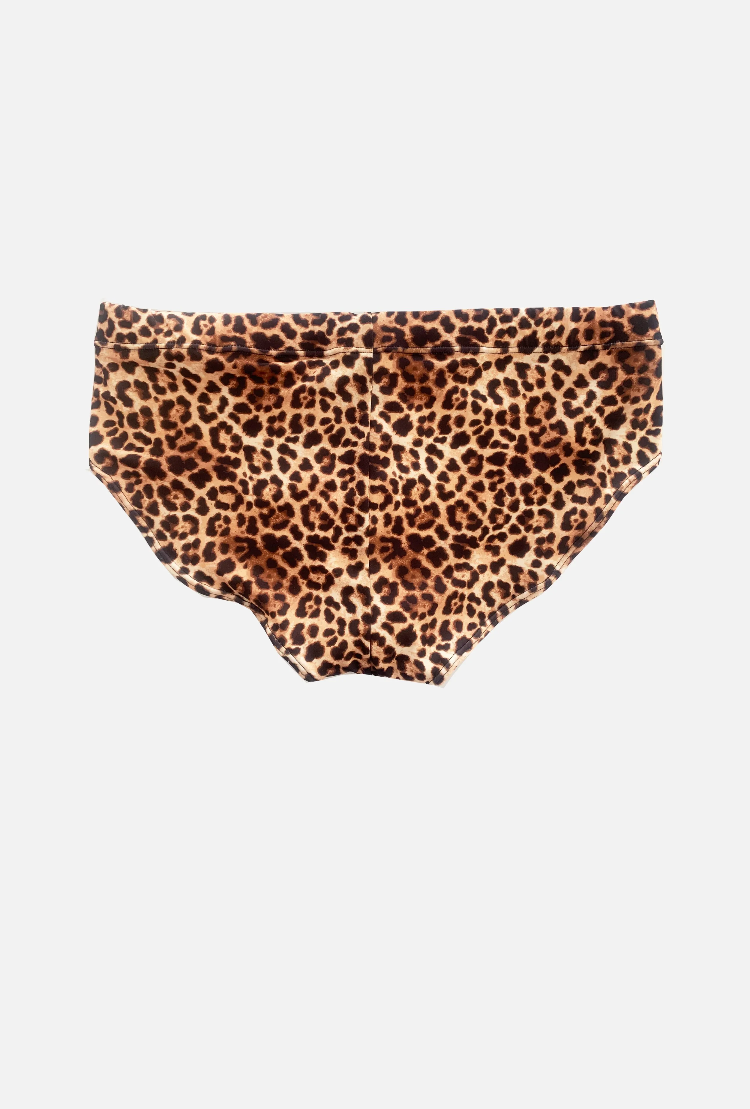 Blueblood_Leo-Swimbriefs_RS.jpg