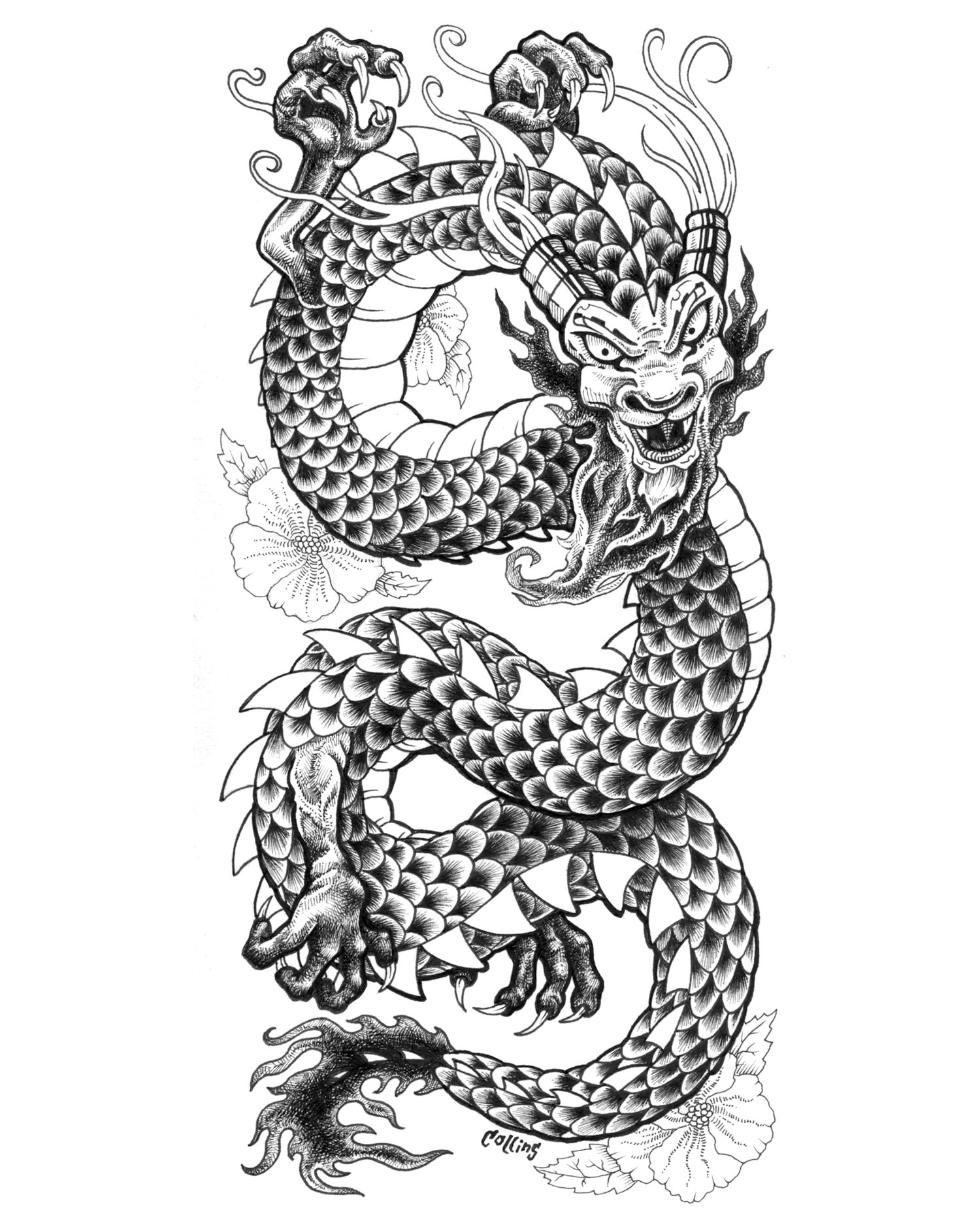 Japanese dragon drawing
