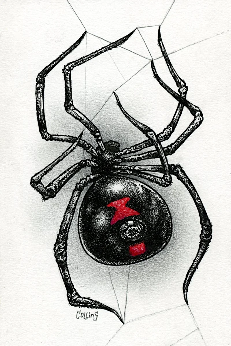 Black Widow Drawing Tattoo