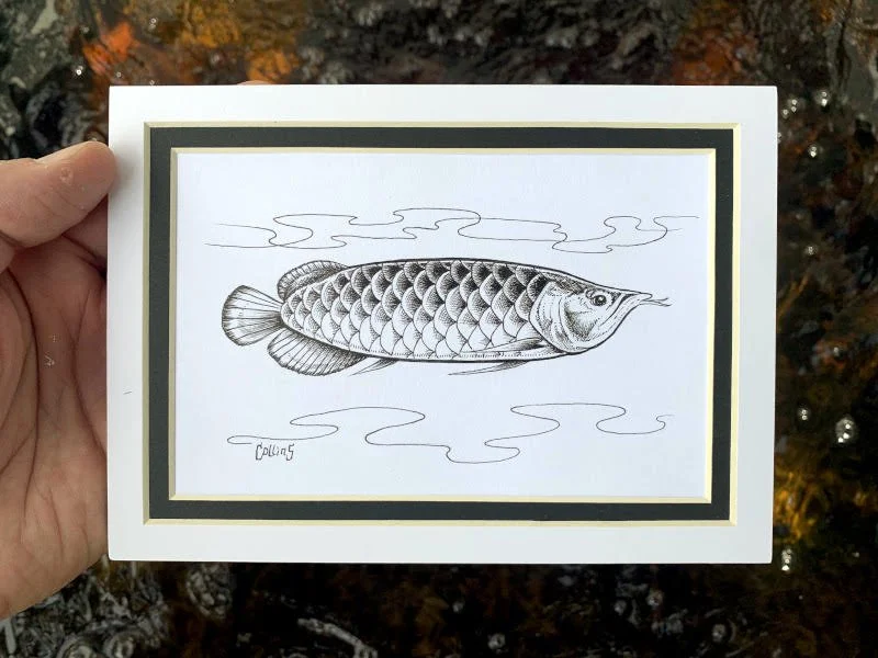 arowana3.jpg