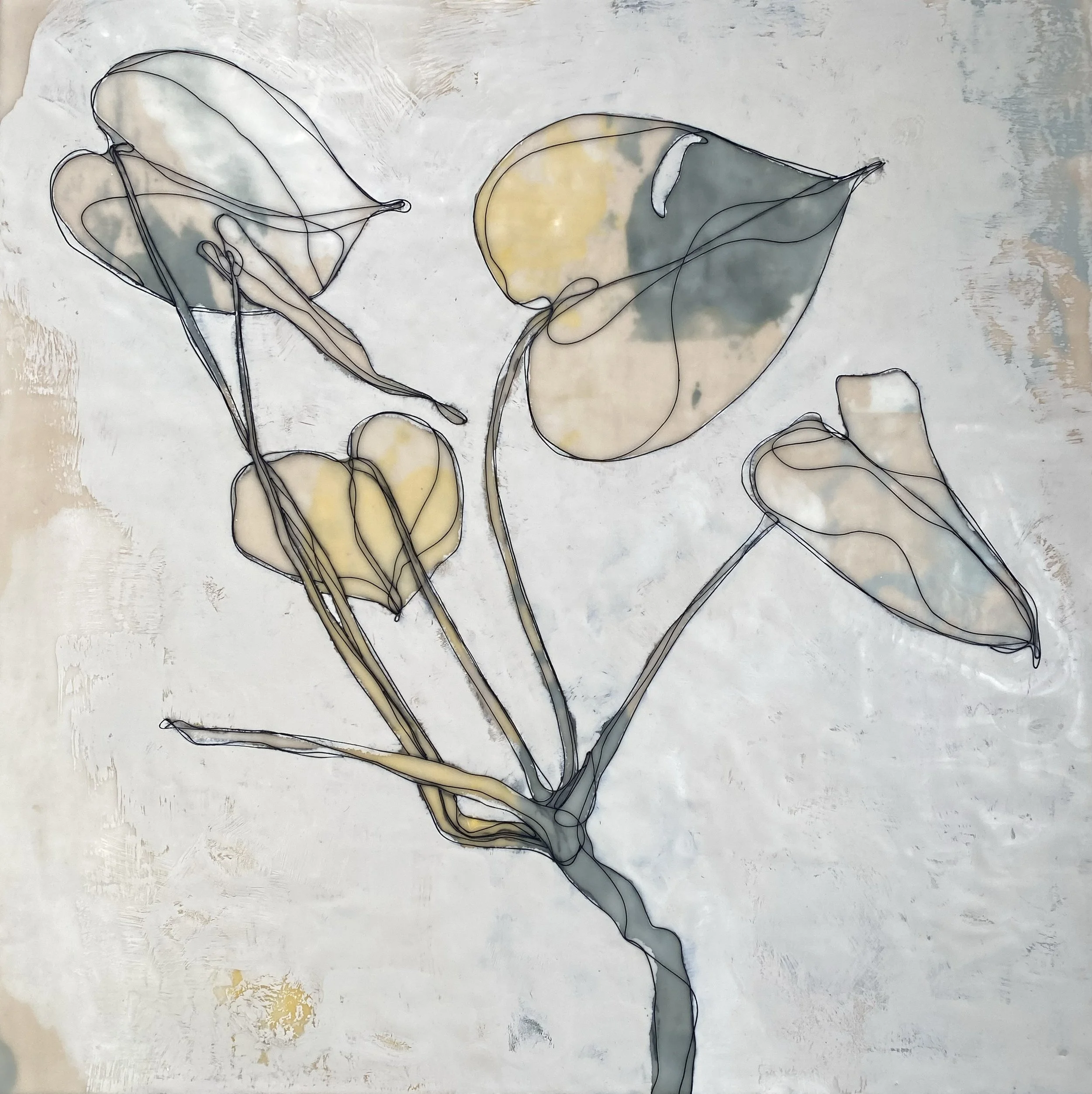Amy Vander Els