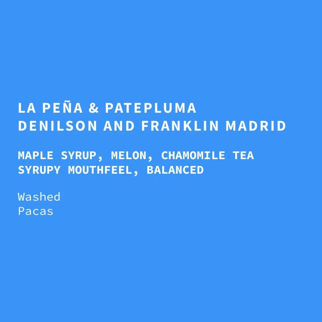 hn-la_peña_patepluma-washed-pacas-26-web.jpg