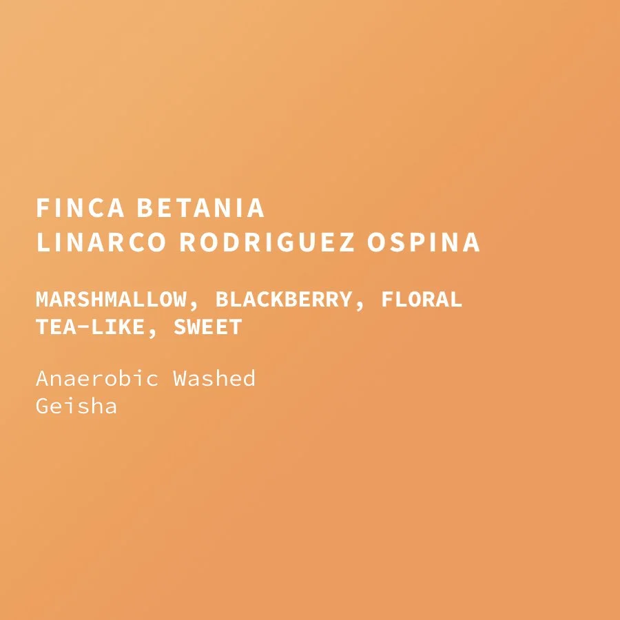 col-betania-washed-geisha.jpg