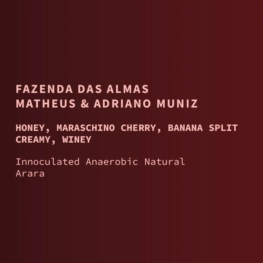 br-das_almas--CoE-natural-Arara-web.jpg