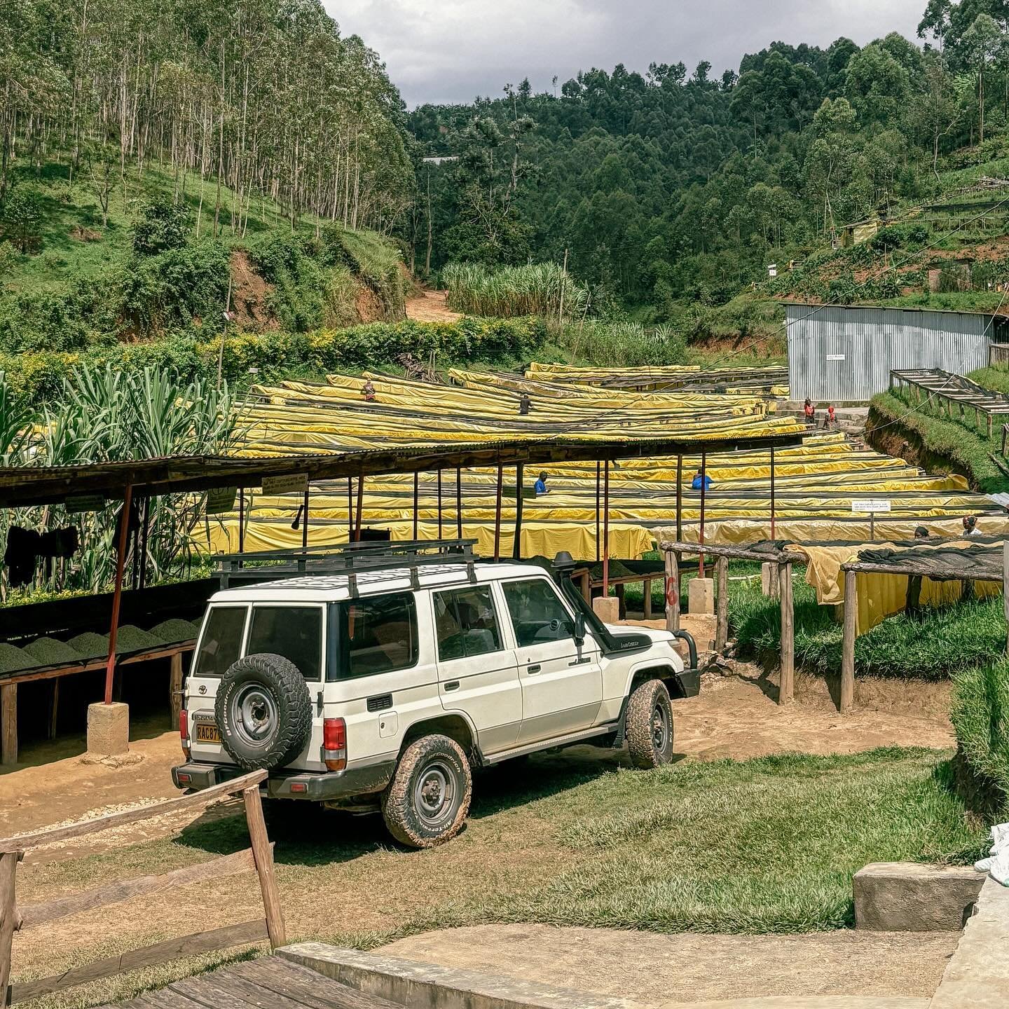 Rwanda is preeeeetty beautiful. This clean, plastic bag free country full of cool af Land Cruisers, big smiles and waves, lush greens overflowing onto intense red-brown roads boasts happiness all over.

Making your way through winding valleys of rice