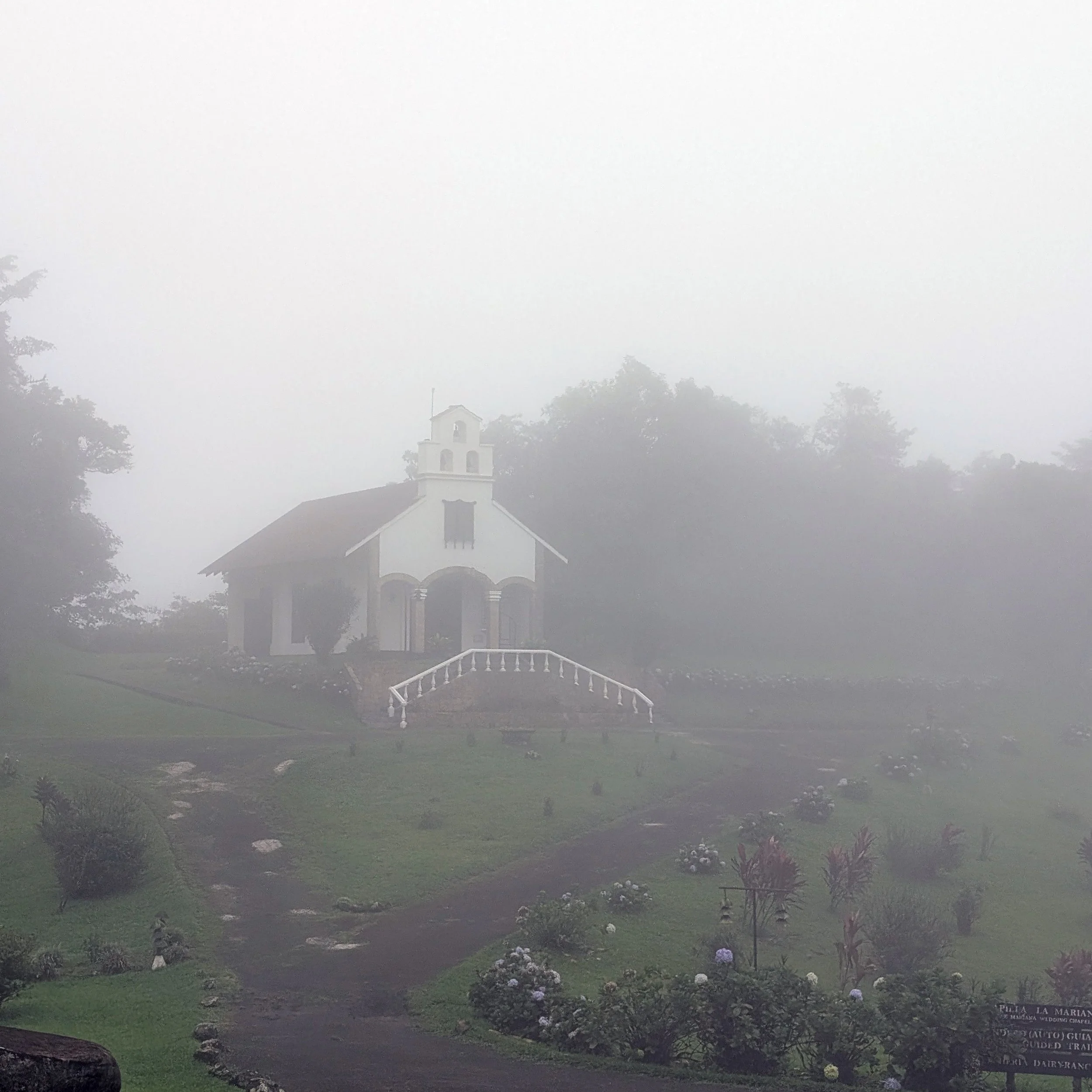 COSTA RICA, CUP OF EXCELLENCE 2025