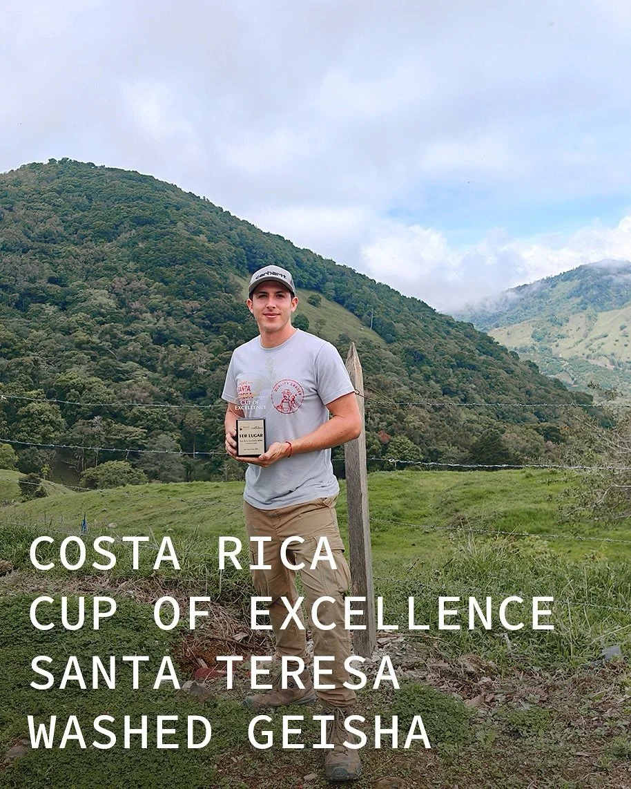 This @cupofexcellence winning lot comes from one of Costa Rica&rsquo;s highest farms. Sitting at 1900-2100m, high up in the clouds, they produce some of the most exquisite, and clean, lots of coffee we&rsquo;ve had the opportunity to offer.

Roger an