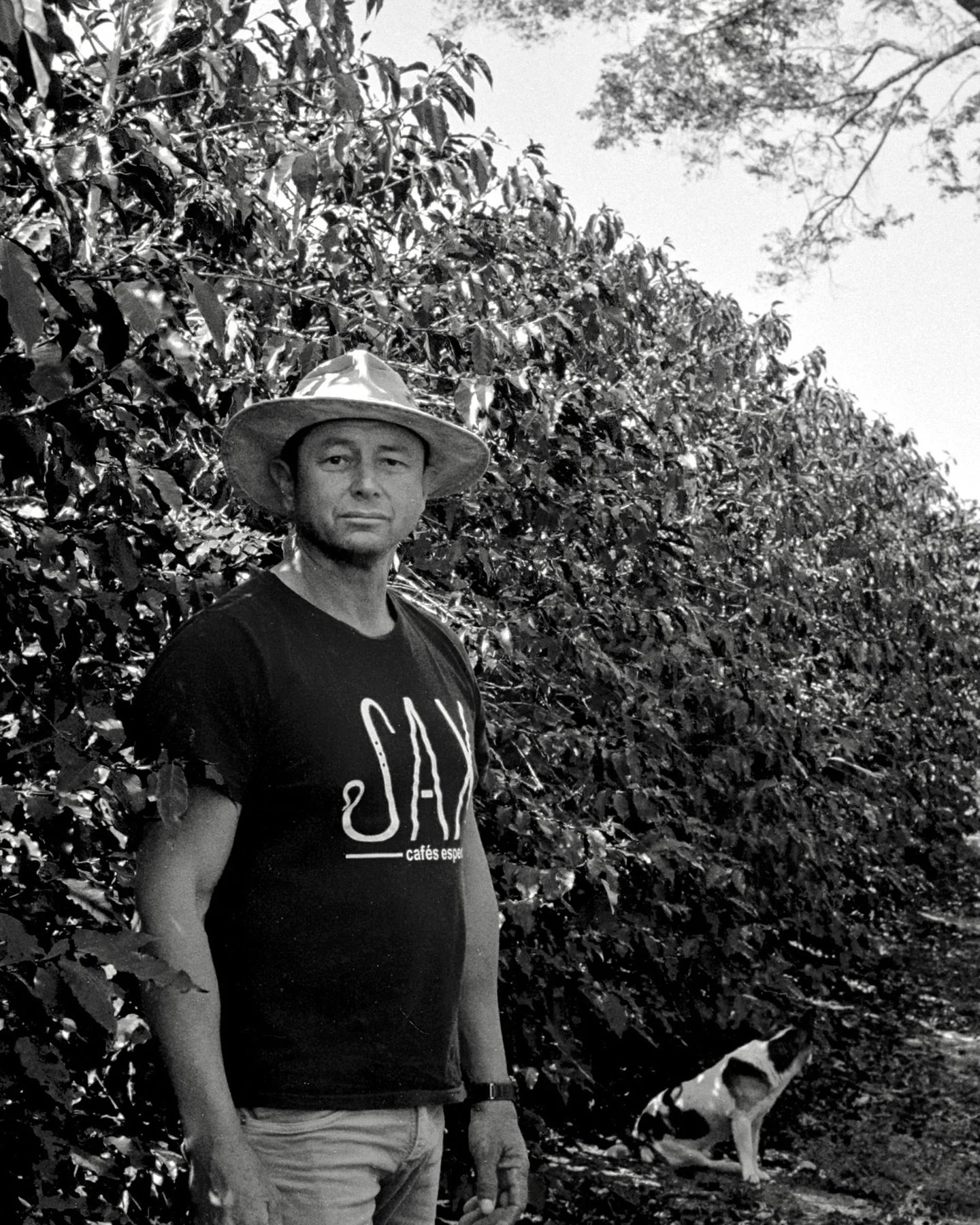 Very lucky to have received an introduction to Manass&eacute;s @saxcafes last year by Felipe and Yana at @smccafebr. It came about because of wanting to understand and learn more about regenerative agriculture, and because Felipe, SMCs agronomist, fi