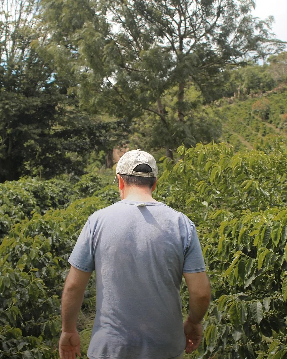 The first of a long list of winning @cupofexcellence lots of 2025 to hit the Idle Hands menu is from @evin_moreno, the 10th place winner from Honduras, with a stunning washed Pacas!

Located high up in the famed Santa Barbara region of Honduras, over