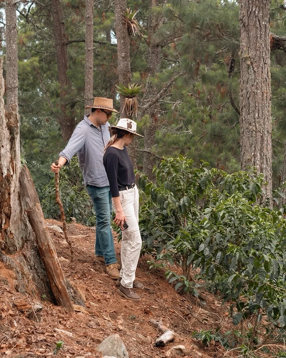 Guatemalan coffees have been world renowned for a deservingly long time, and we&rsquo;re pretty proud to share a prime example of just how clean, sweet, and bright these profiles can be.

While participating in Guatemala&rsquo;s Cup of Excellence pro