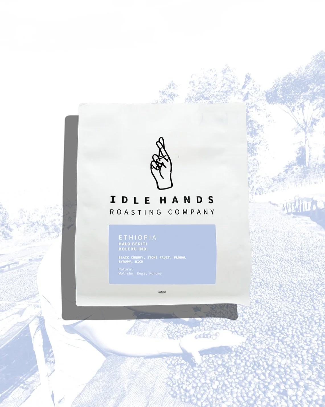 Newwwwww coffee drop!

A majority of our volume each year comes from the beautiful Halo Beriti Washing Station in the Gedeo Zone of Yirgacheffe. And a portion of the coffee we buy from there is this classic Grade 1 Wolisho and Dega &ldquo;heirloom&rd