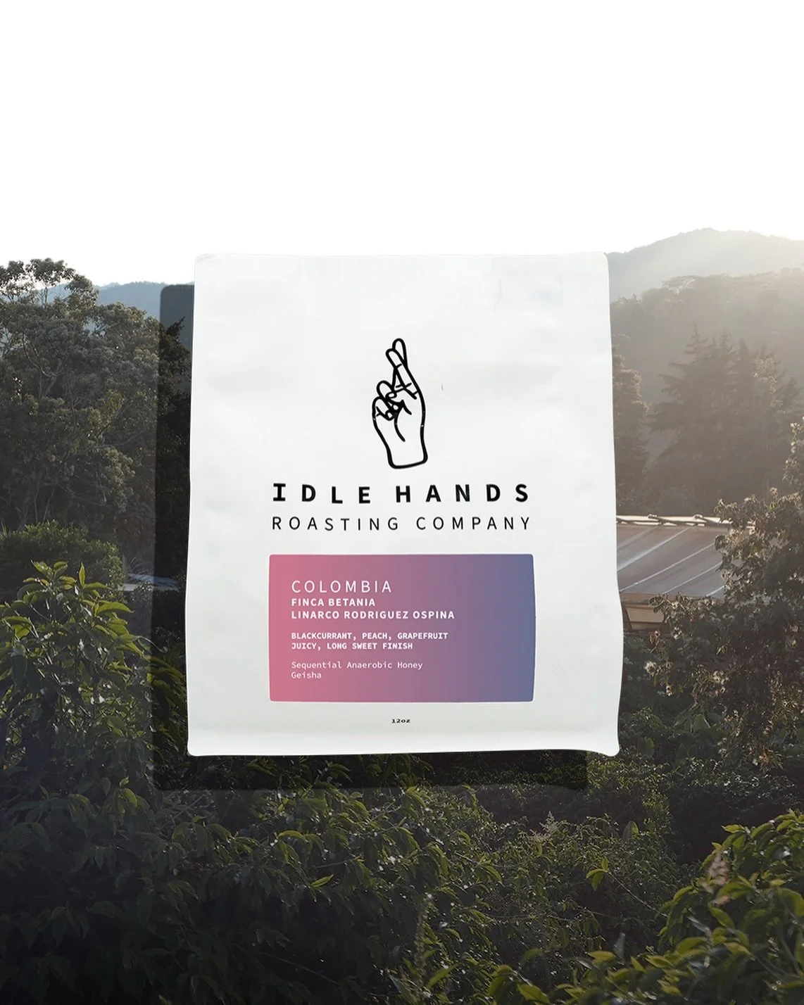 We never tire of coffee from @linorodriguezospina at Idle Hands, and to have his honey processed lots beginning to make a regular appearance is becoming a bit of a treat.

This Geisha comes from the Piedra Grande lot at Finca Betania, which sits at t