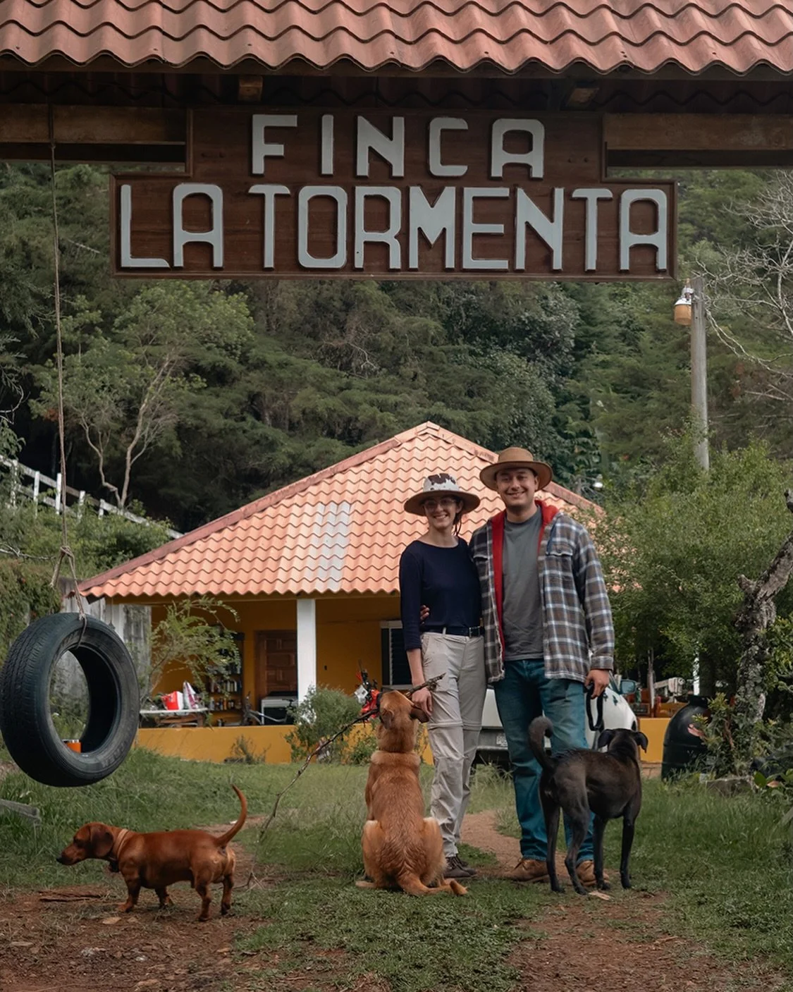 Final weeks of Ana and Roberto&rsquo;s beautiful lactic washed Villa Sarchi, from Finca La Tormenta, in El Progreso, Guatemala.

This breathtaking farm sits high up in a cloud forest surrounded by pines right up next to the Sierra de las Minas Biosph