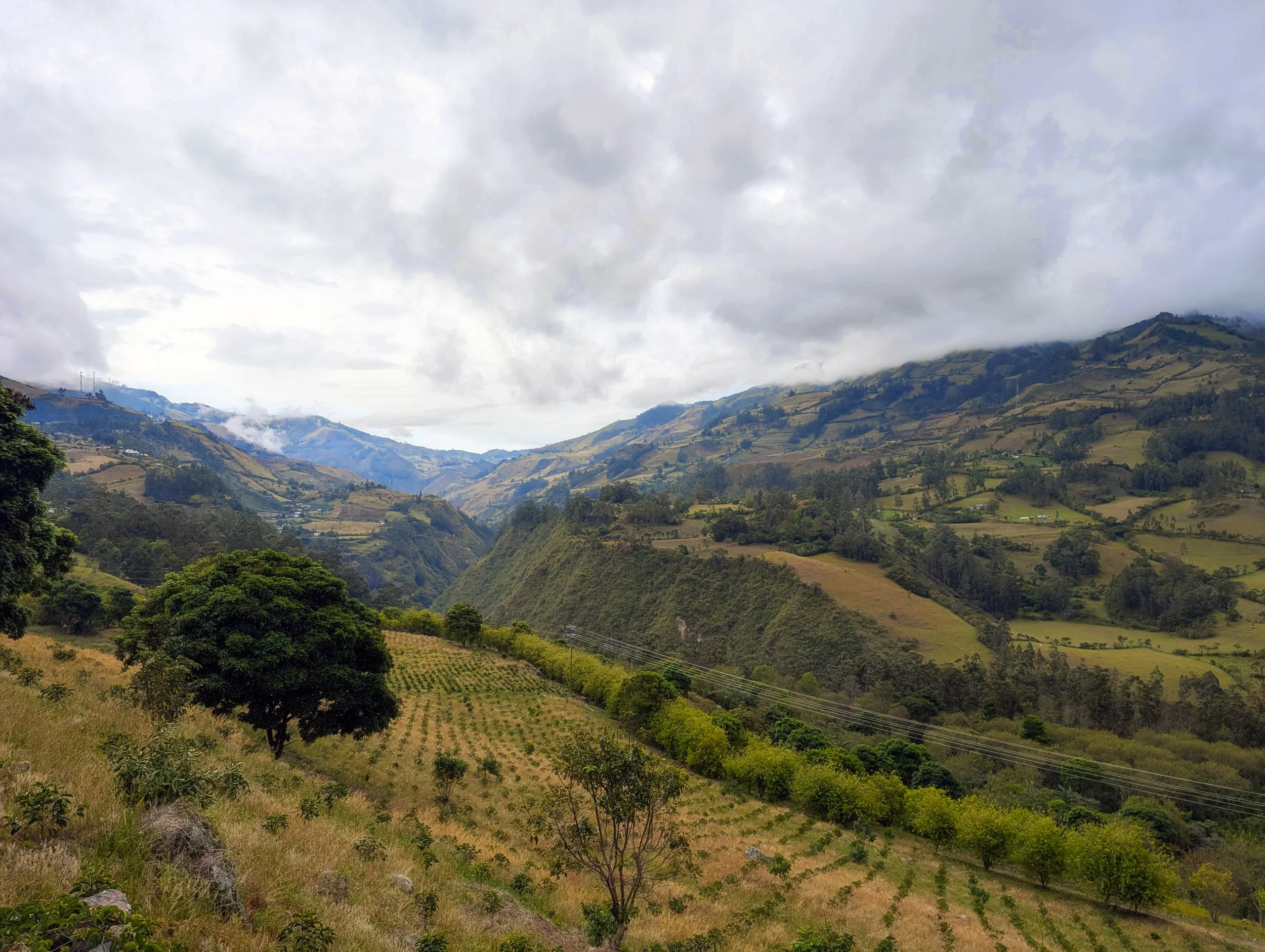 The Best of Nariño 2025 – Cultivating Coffee, Harvesting Peace