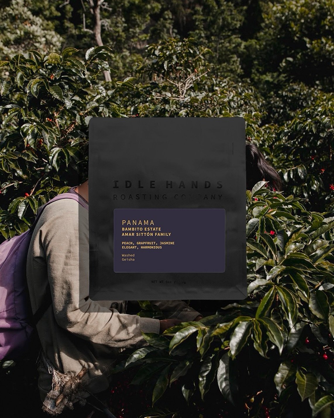 This washed Geisha from the famed @bambitoestatecoffee is one helluva beautiful coffee! 

The estate is located between two national parks and sits between 1,660 and 1,800 masl with two mountain ridges crossing the farm from east to west, creating tw
