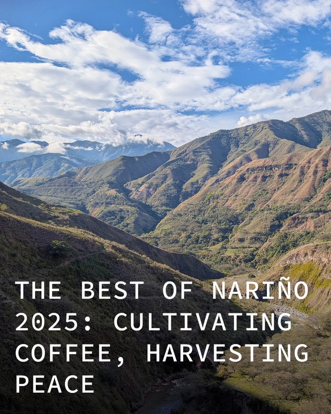 In the final months of 2025, the Best of Nari&ntilde;o (La Mejor Taza) coffee competition and event was held.
With a slogan of &ldquo;cultivating coffee, harvesting peace,&rdquo; the event not only brought together 250+ of the best lots of coffee fro