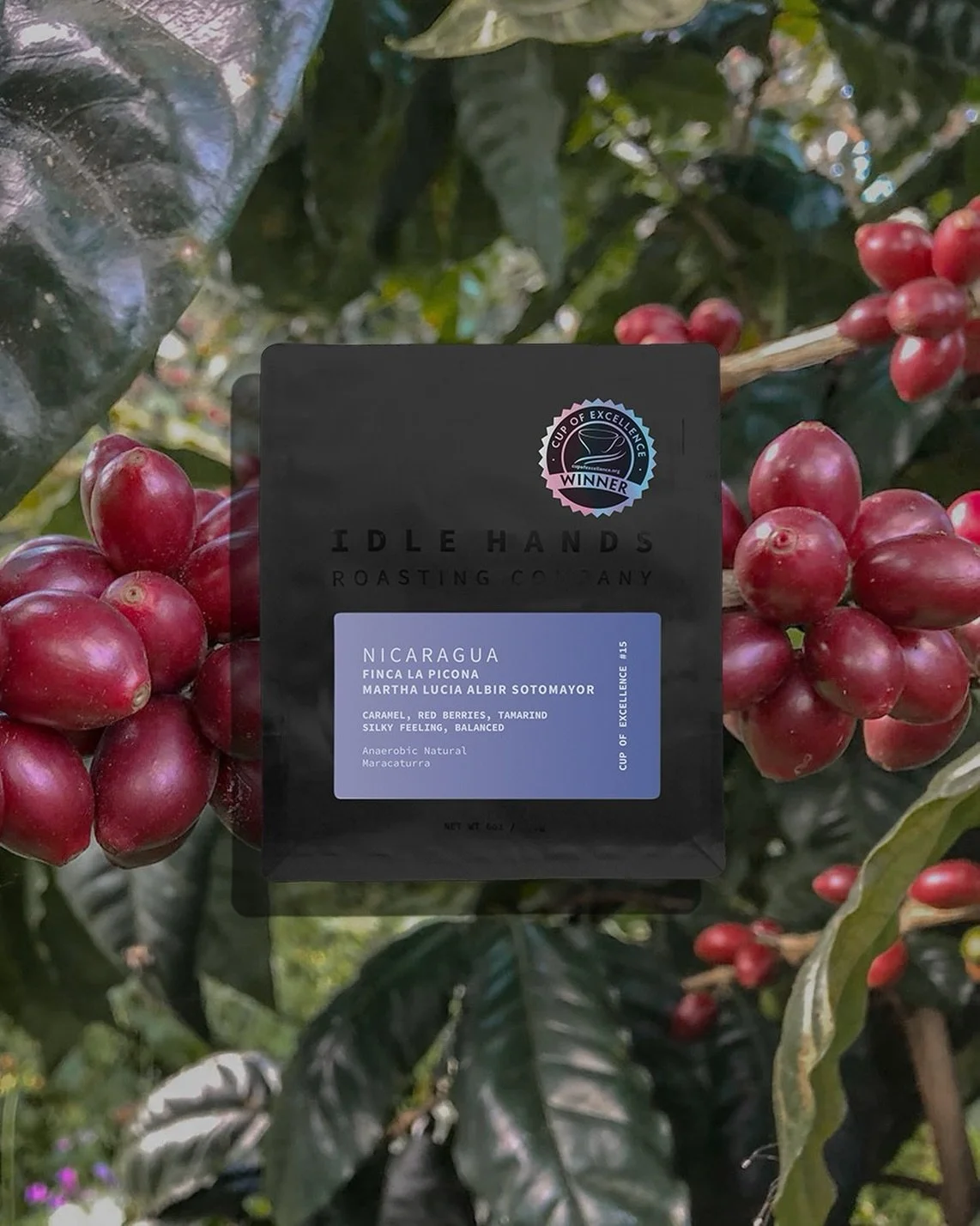 This CoE winning lot from @finca.picona in Nicaragua keeps getting better and better. Bright, fruity acidity, and a complex sweetness reminiscent of tropical fruits and berries.

We were lucky enough to score 2x boxes during the auction, and we&rsquo