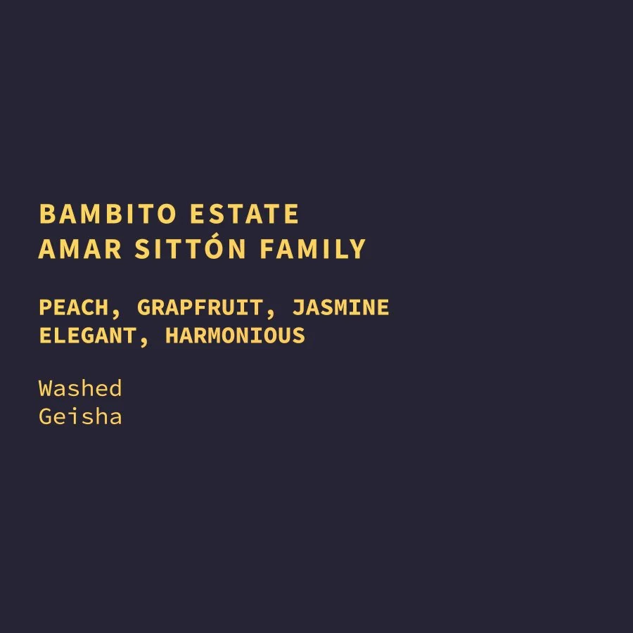 pan-bambito_estate-geisha-web.jpg