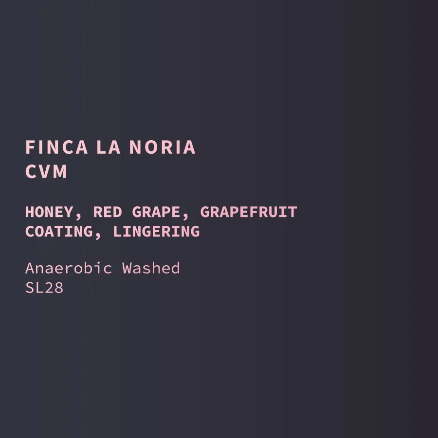 ecu-la_noria-washed-SL28-web.jpg