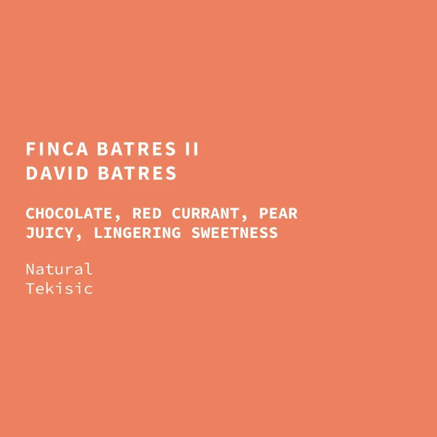 Guatemala Finca Batres