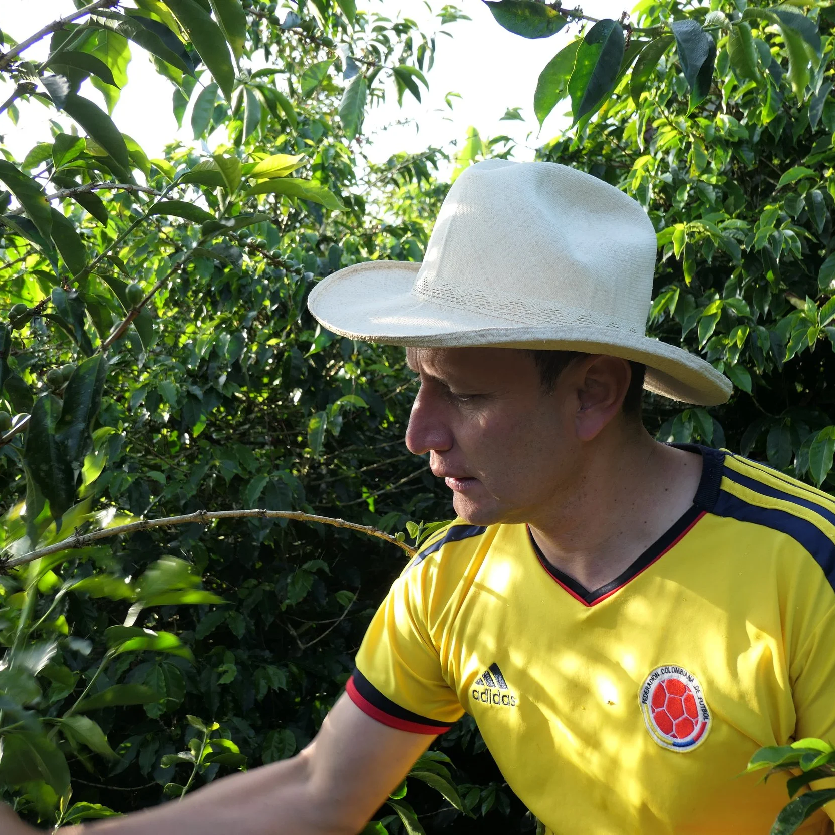 P1050726.png