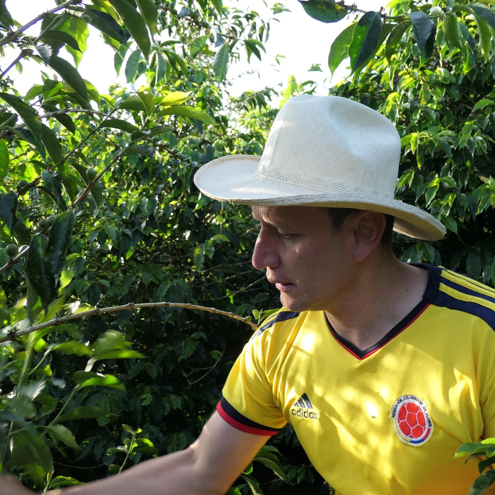 P1050726.png