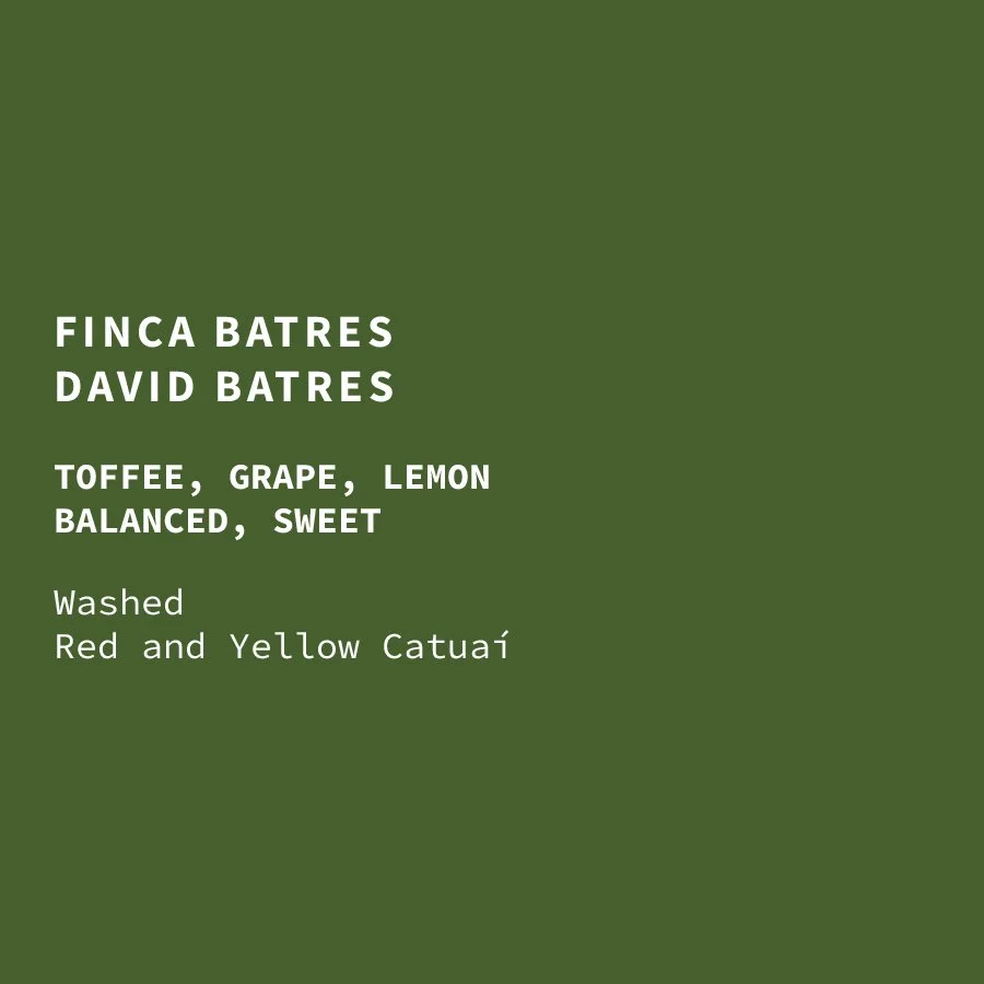 Guatemala Finca Batres