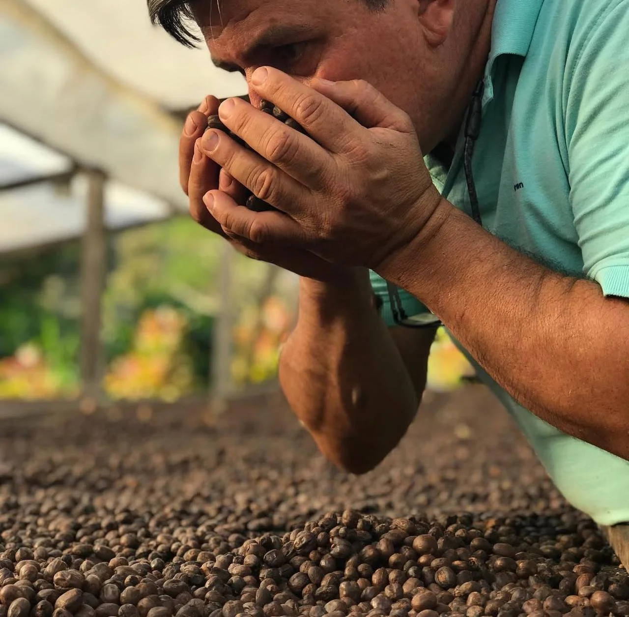 Allan- African beds.jpg