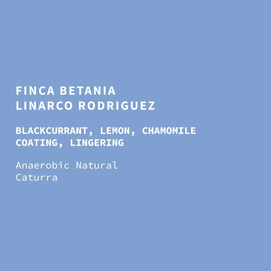 col-betania-natural-caturra-web.jpg