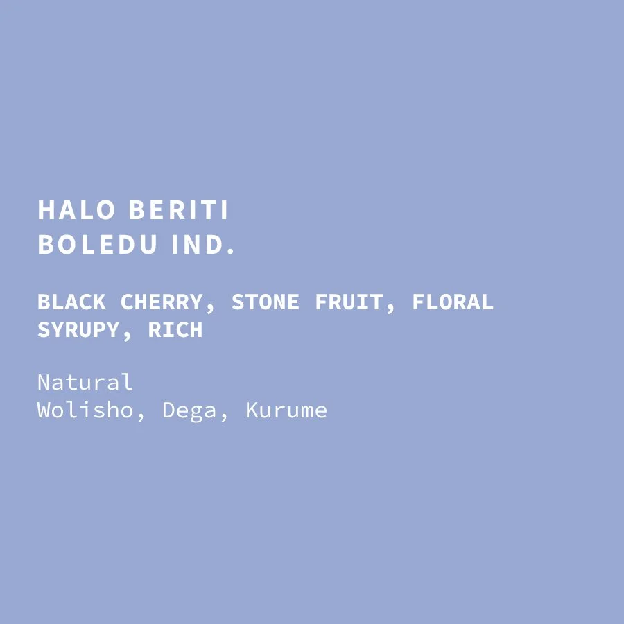 boledu-halo-beriti-nat-25-web.jpg