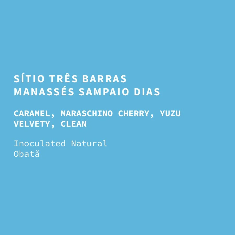 br-tres_barras-natural_obata-web.jpg