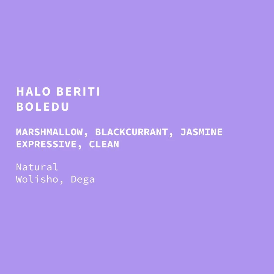 boledu-halo-beriti-nat-26-web.jpg