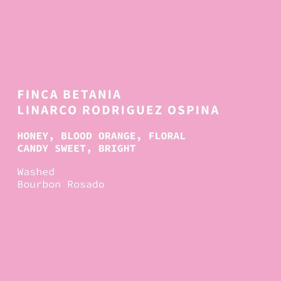 col-betania-washed-bourbon-rosado-web.jpg