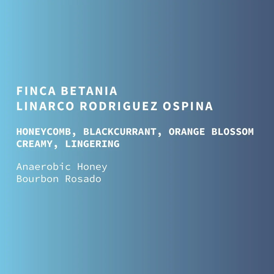 col-linarco-honey-rosado-web.jpg