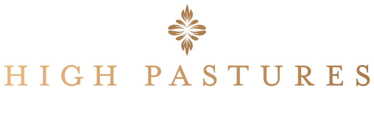 High Pastures Nursing Home