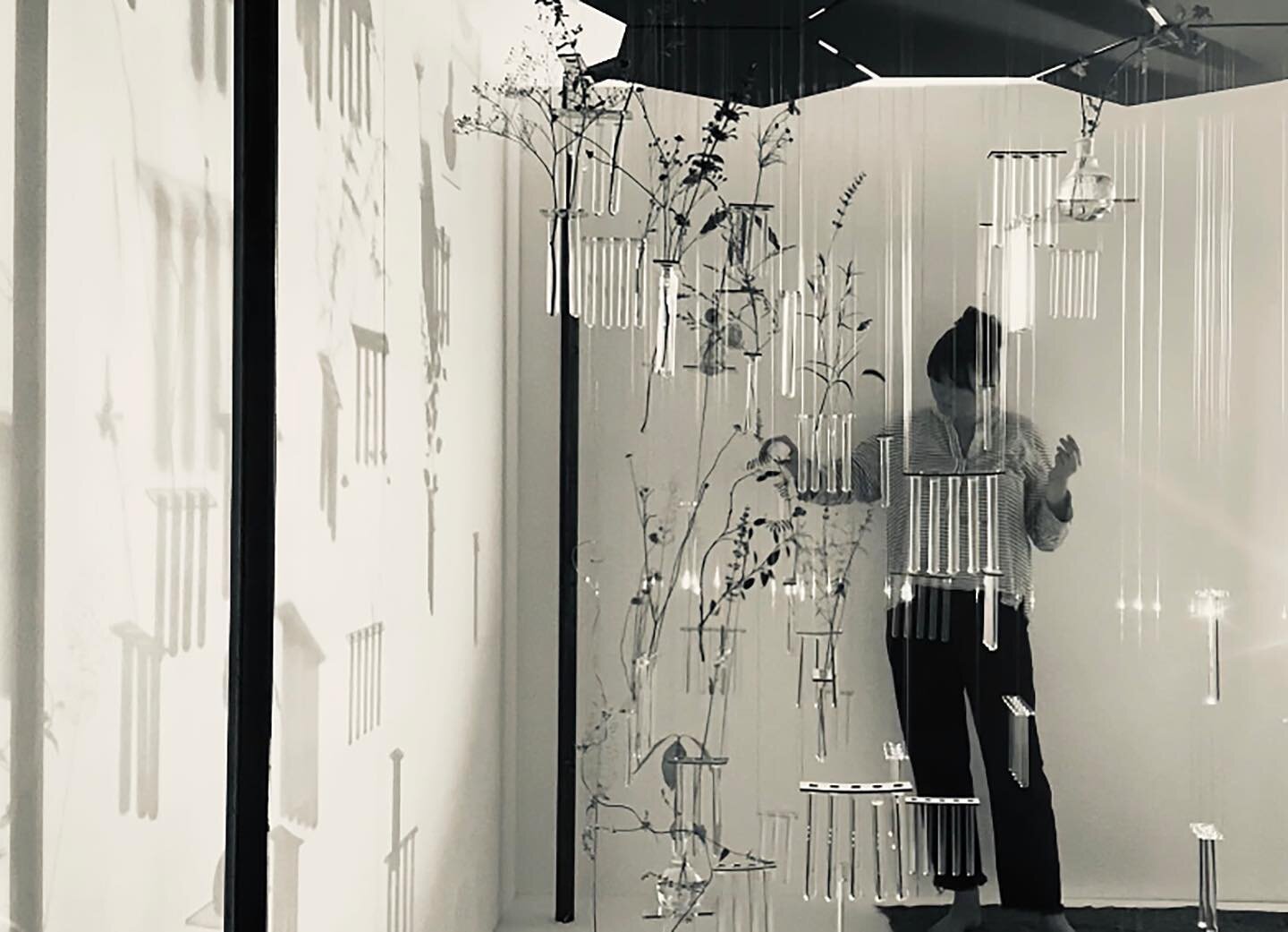 I&rsquo;m very excited to be planning some more of my suspended glass planty magic for later this year! ✨💫✨
&bull;
&bull;
#charlottesmithson #selfportrait #artiststudio #artinstallation #installationartist #studio #artistsoninstagram #greatoaks