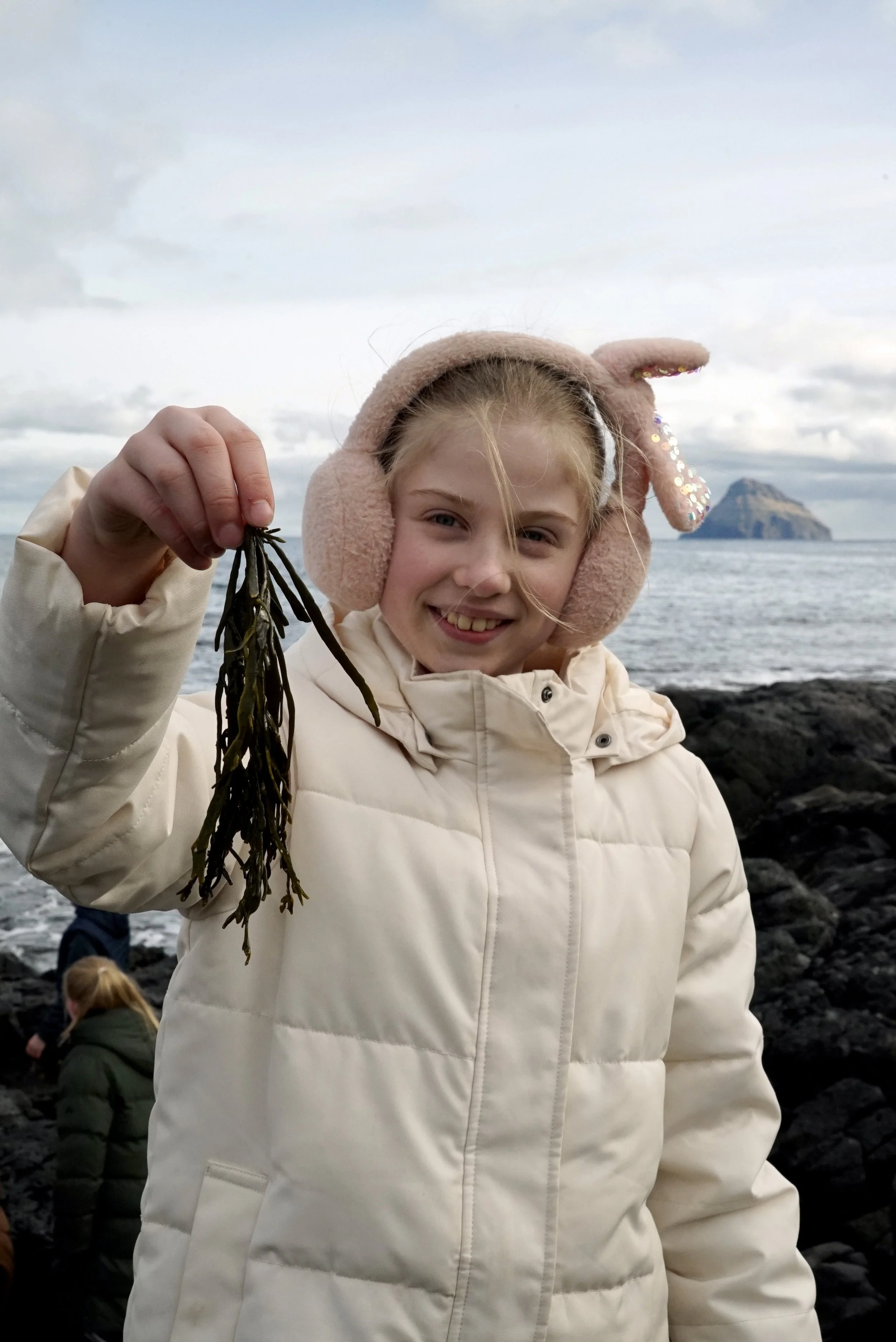 THE FOREST AROUND MY ISLAND