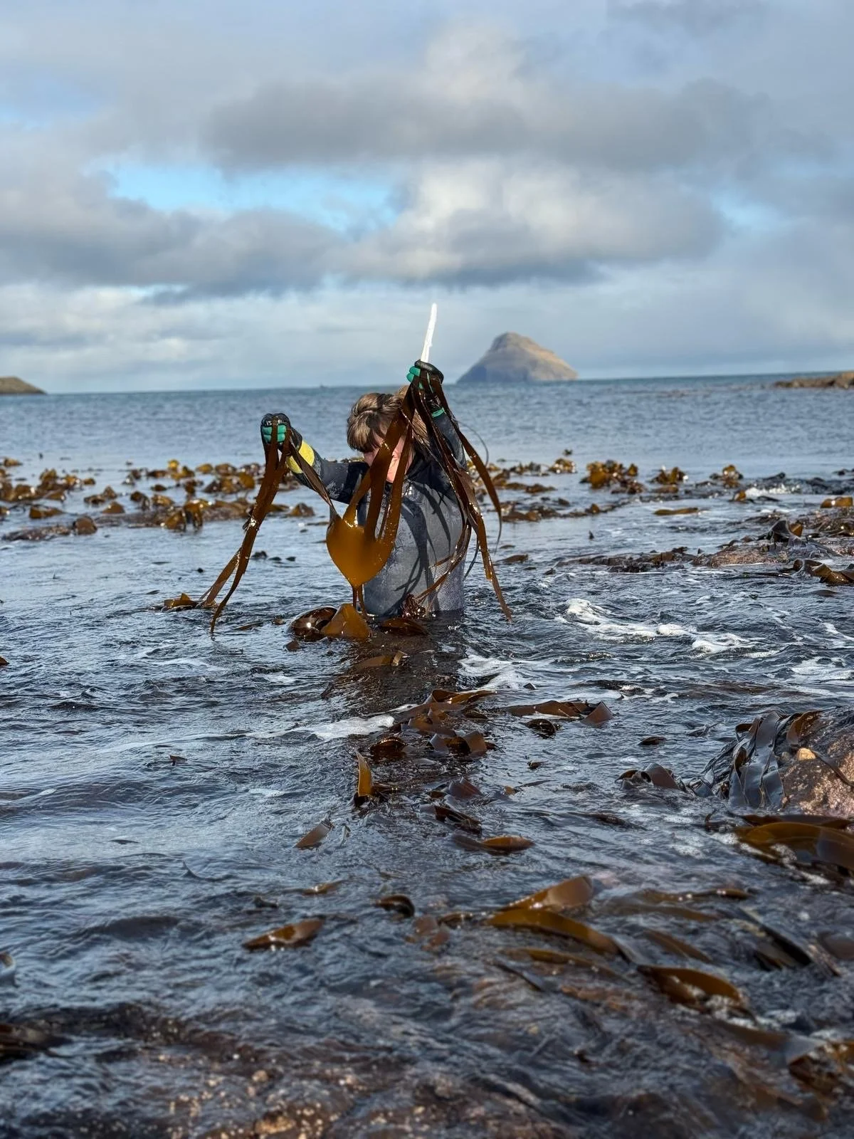 f4cd7d3f-539c-4f85-b377-703539662d4b 2.JPG