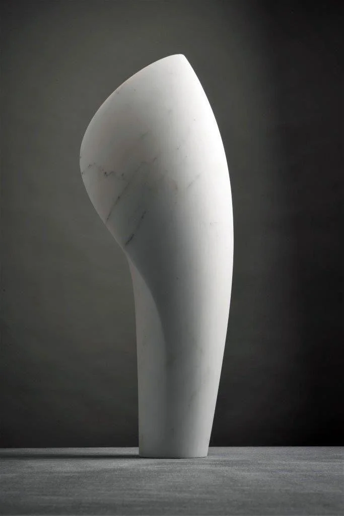 Cynthia Sah. Involution JPG copy.JPG