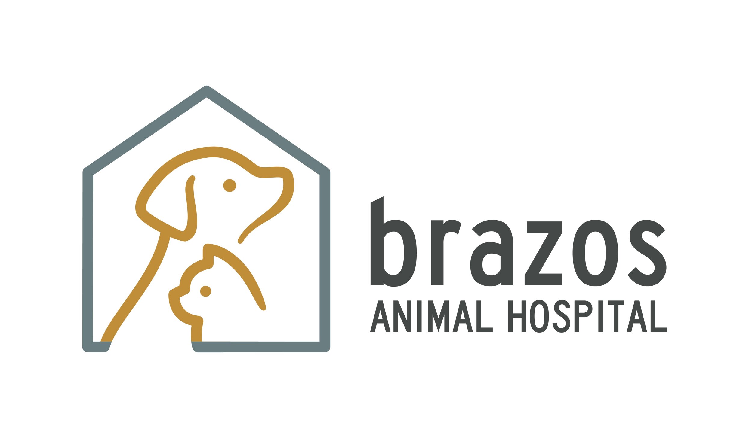 Brazos Animal Hospital