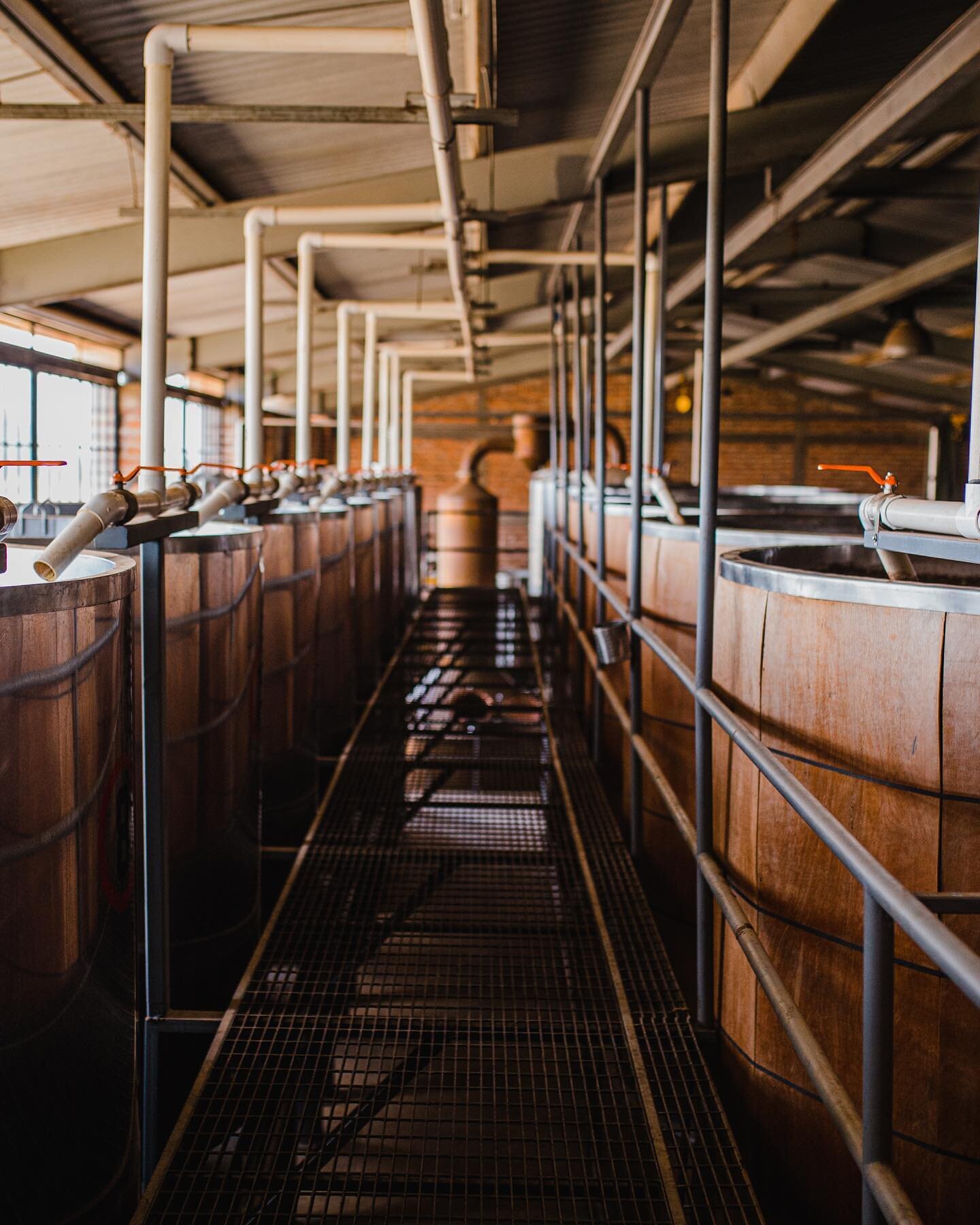 A fact you didn't know about PRIMO:
We have been keeping and breeding the same organic yeast that we use for the #fermentation process for GENERATIONS.
-
Un dato que no sab&iacute;as sobre PRIMO:
Llevamos GENERACIONES manteniendo y reproduciendo la m