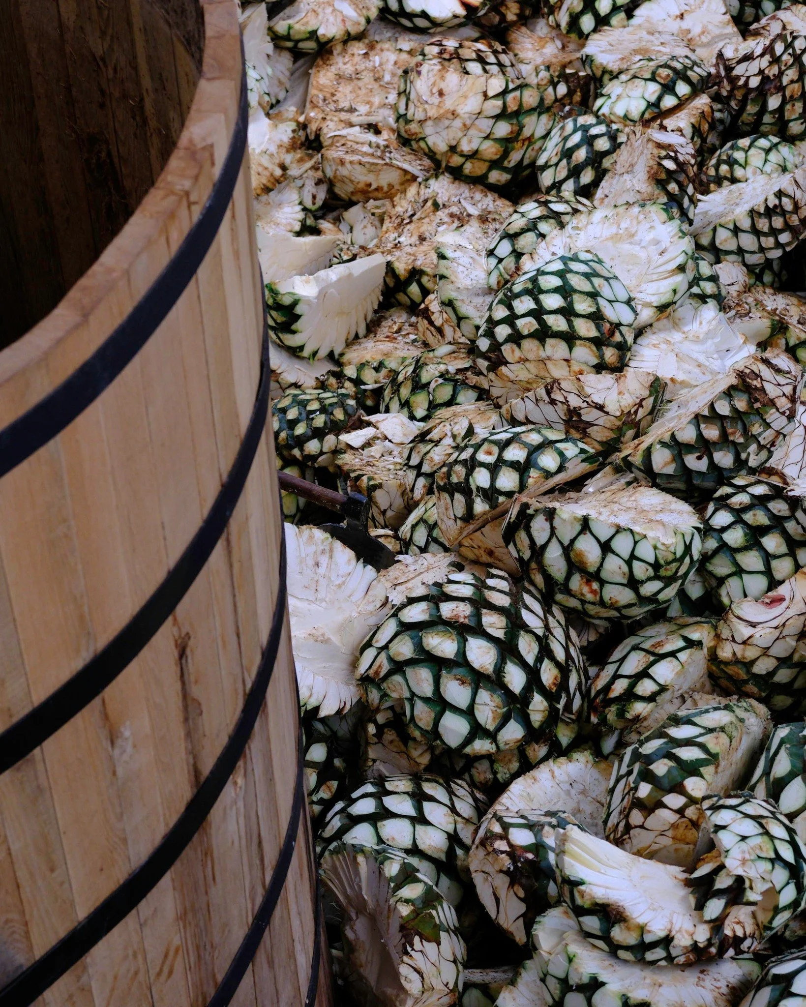 From the agave field to every bottle, Primo Tequila is crafted with purity and patience, honoring the land and tradition with every drop.
----------
Del campo de agave a cada botella, Primo Tequila es elaborado con pureza y paciencia, honrando la tie