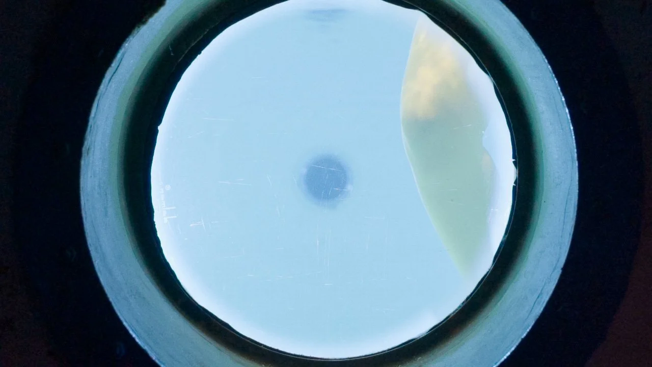 C0010T01_2024.jpg
